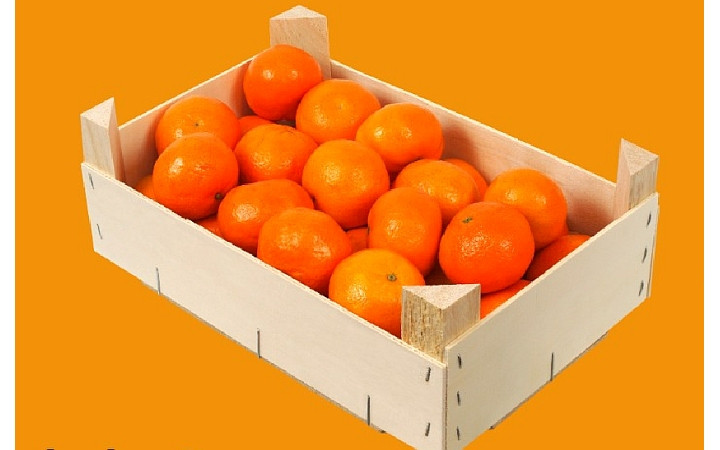 Mandarijnen actie Albanie